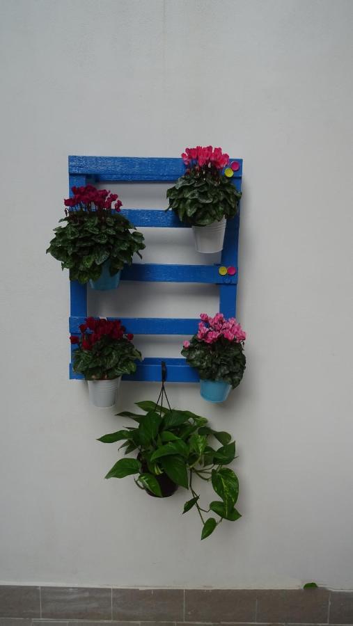 Il Giardino Segreto Appartement Palermo Buitenkant foto